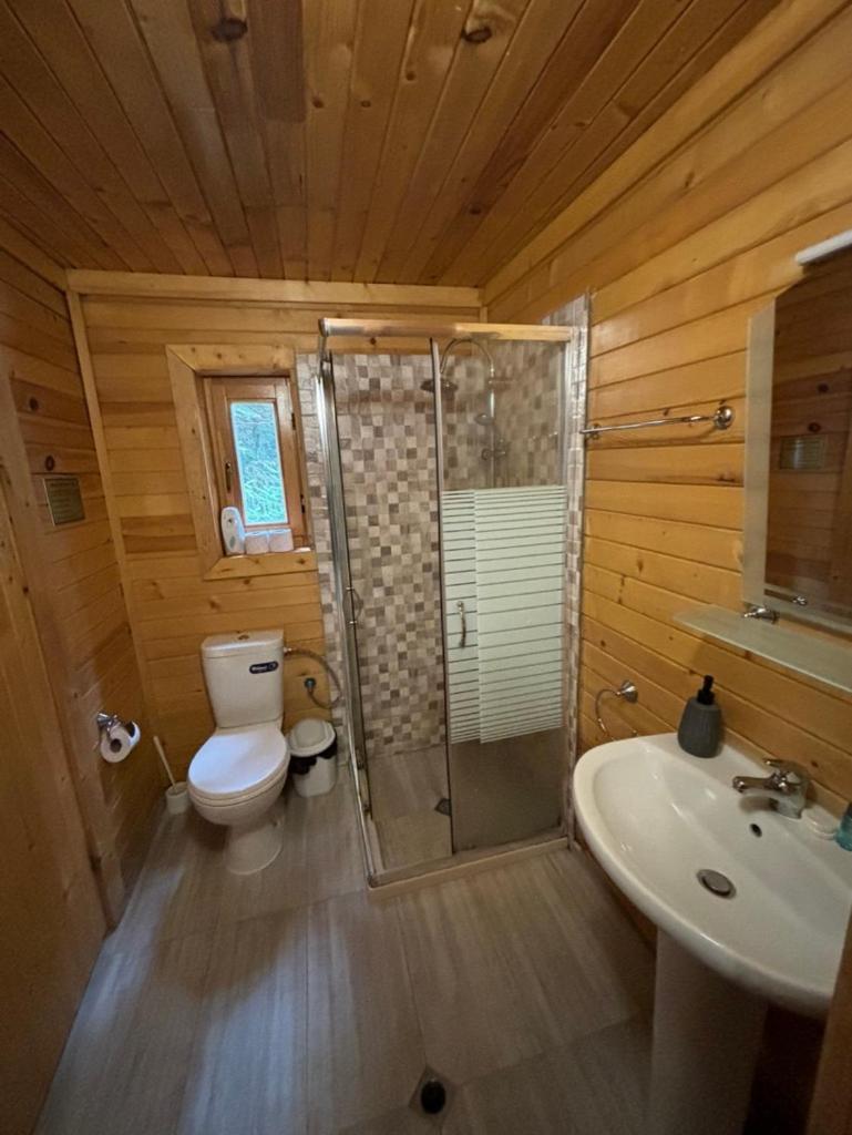 Chalet Sofia Borovets Luaran gambar