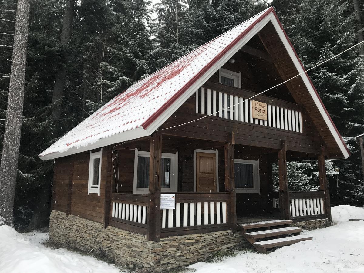 Chalet Sofia Borovets Luaran gambar